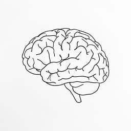 Brain